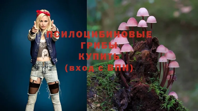 Псилоцибиновые грибы Psilocybine cubensis Уварово