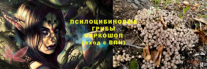 Галлюциногенные грибы MAGIC MUSHROOMS  Уварово 